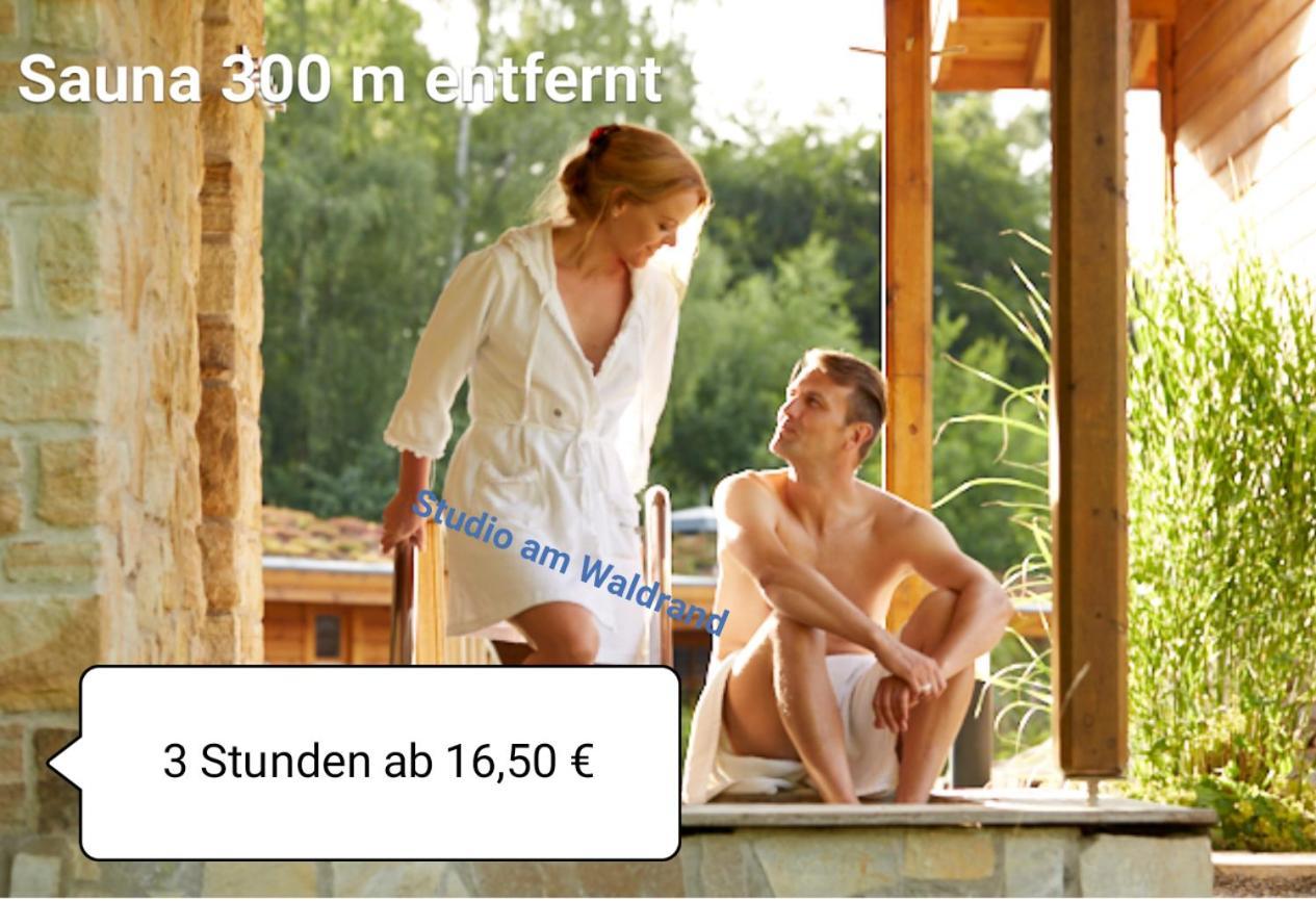 Studio Am Waldrand Wadgassen Екстер'єр фото